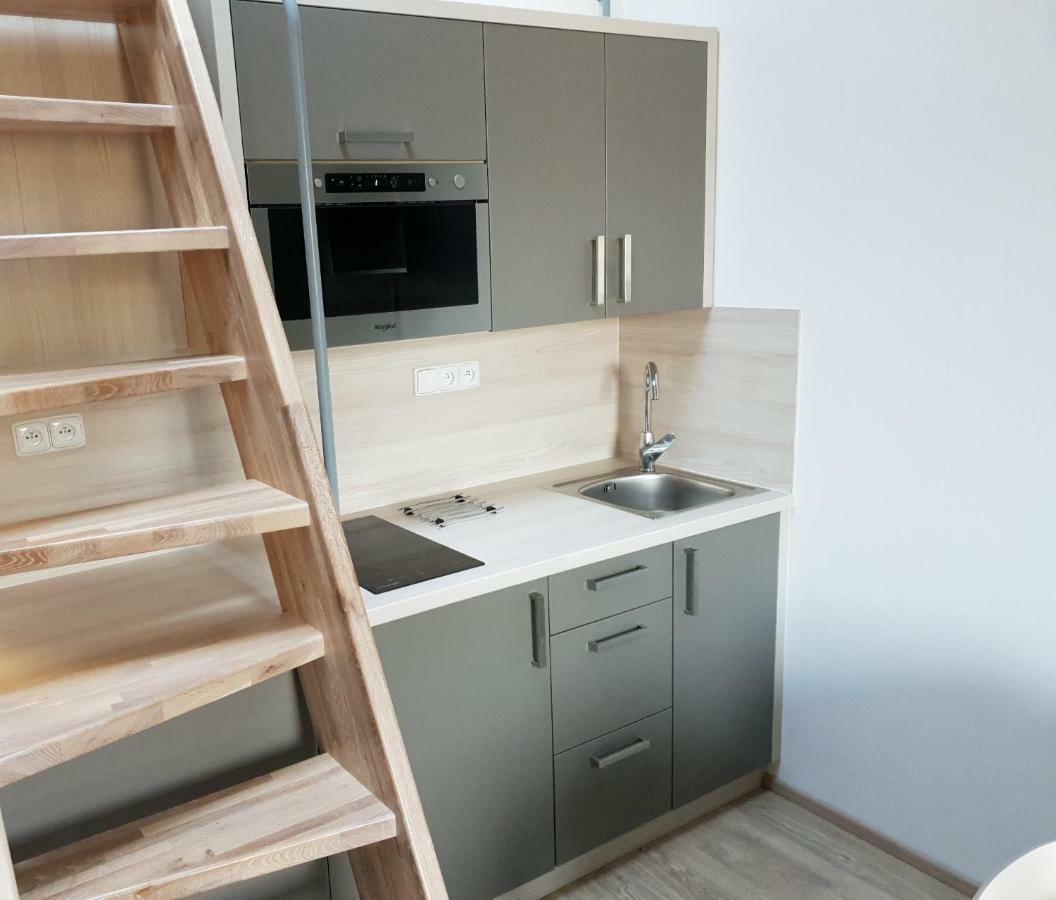 Apartman Pod Medvedi Horou Loucna nad Desnou Exterior photo